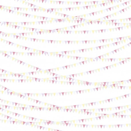 Scrapbooking Sheet Acetate Flags