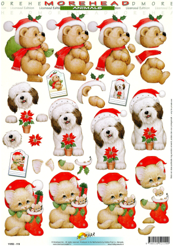 Carta Morehead 3D 119