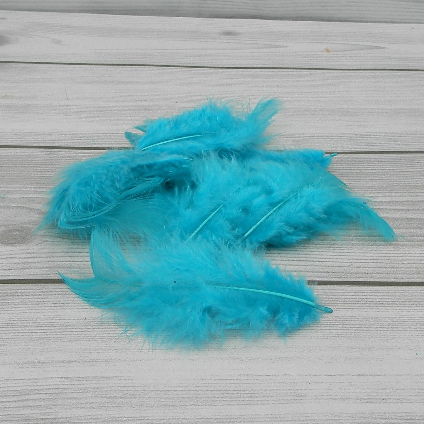 Piumette 30gr Azzurre