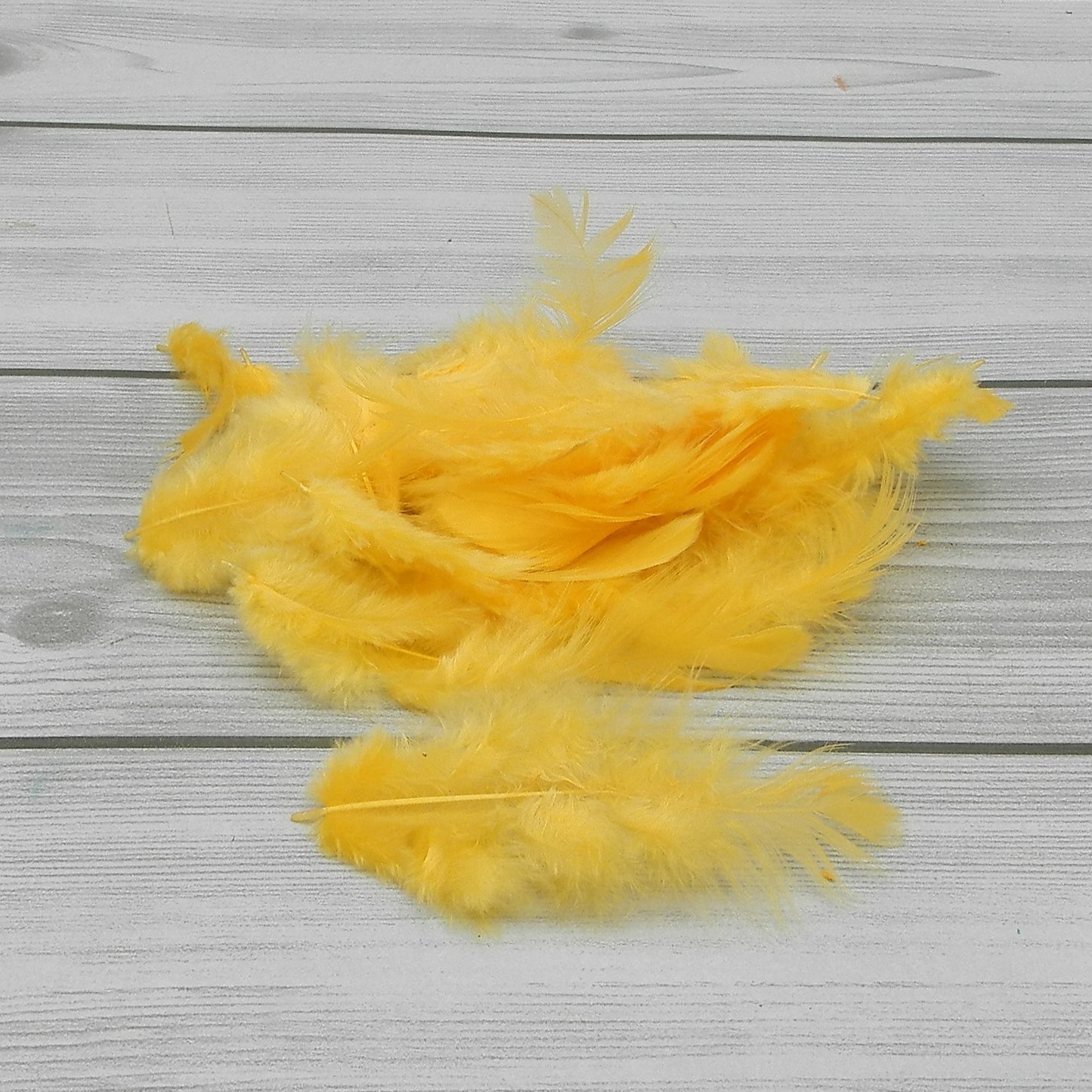 Piumette 30gr Gialle