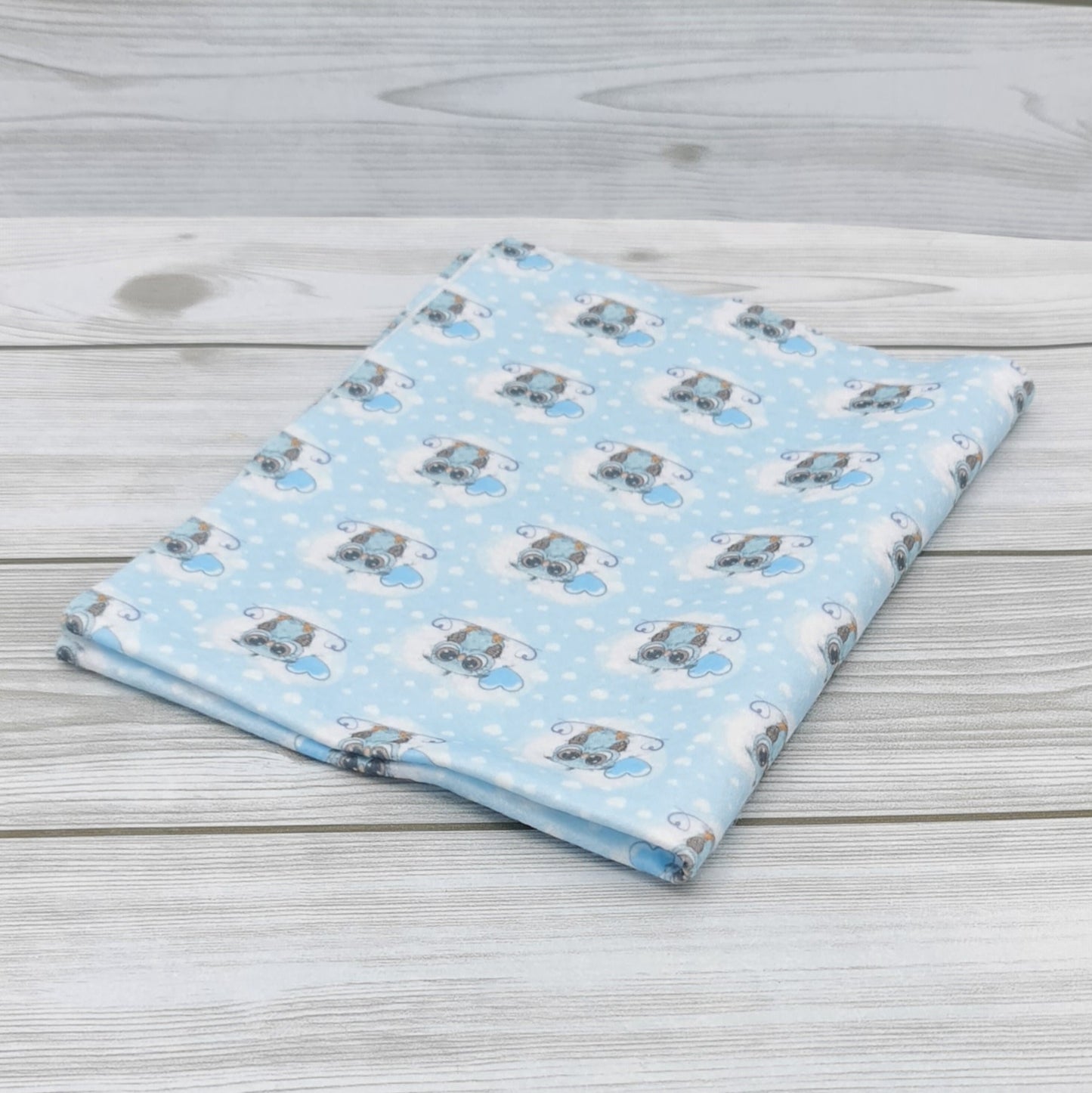 Pannolenci Printed Baby Owl Baby Blue Cod. 20043-8