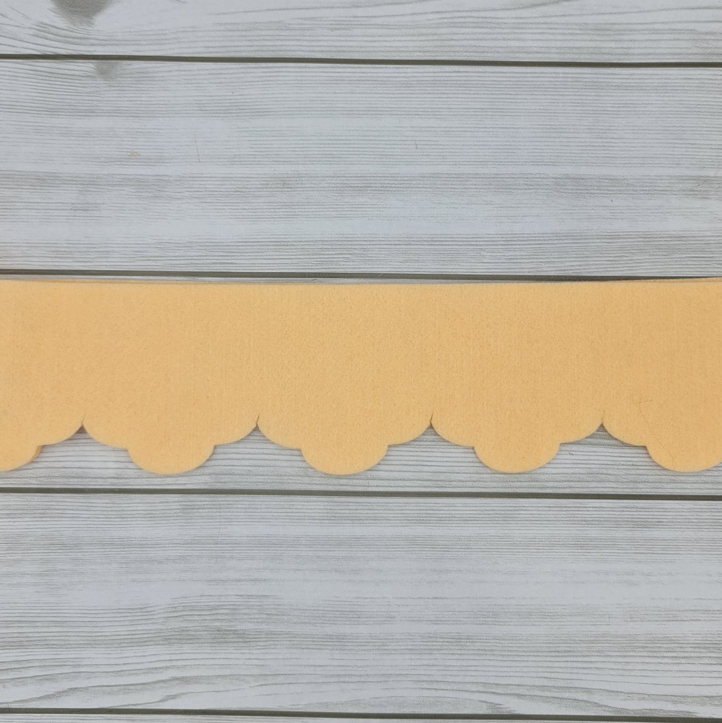 Scalloped Apricot Cloth H 10 cm