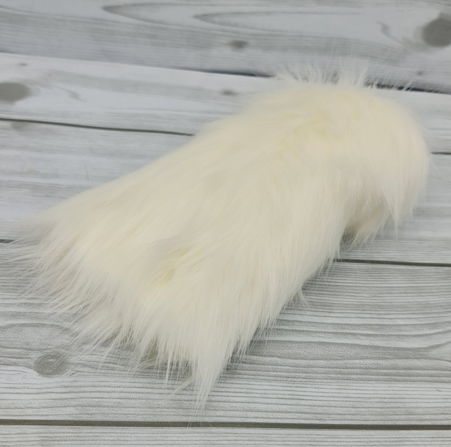 Morue à barbe blanche. TE130