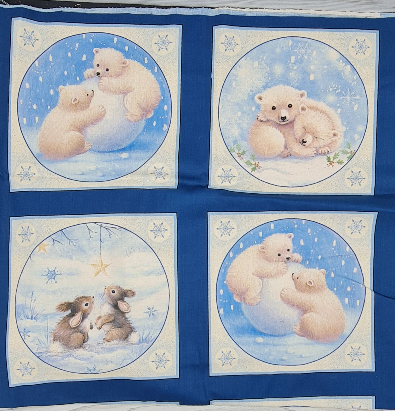 Cotonina Americana Animali D'Inverno