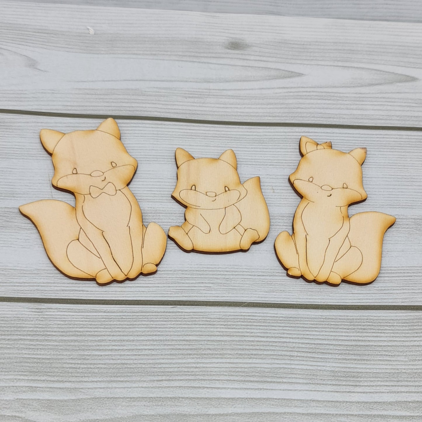 Famiglia Volpi Sagomiamo