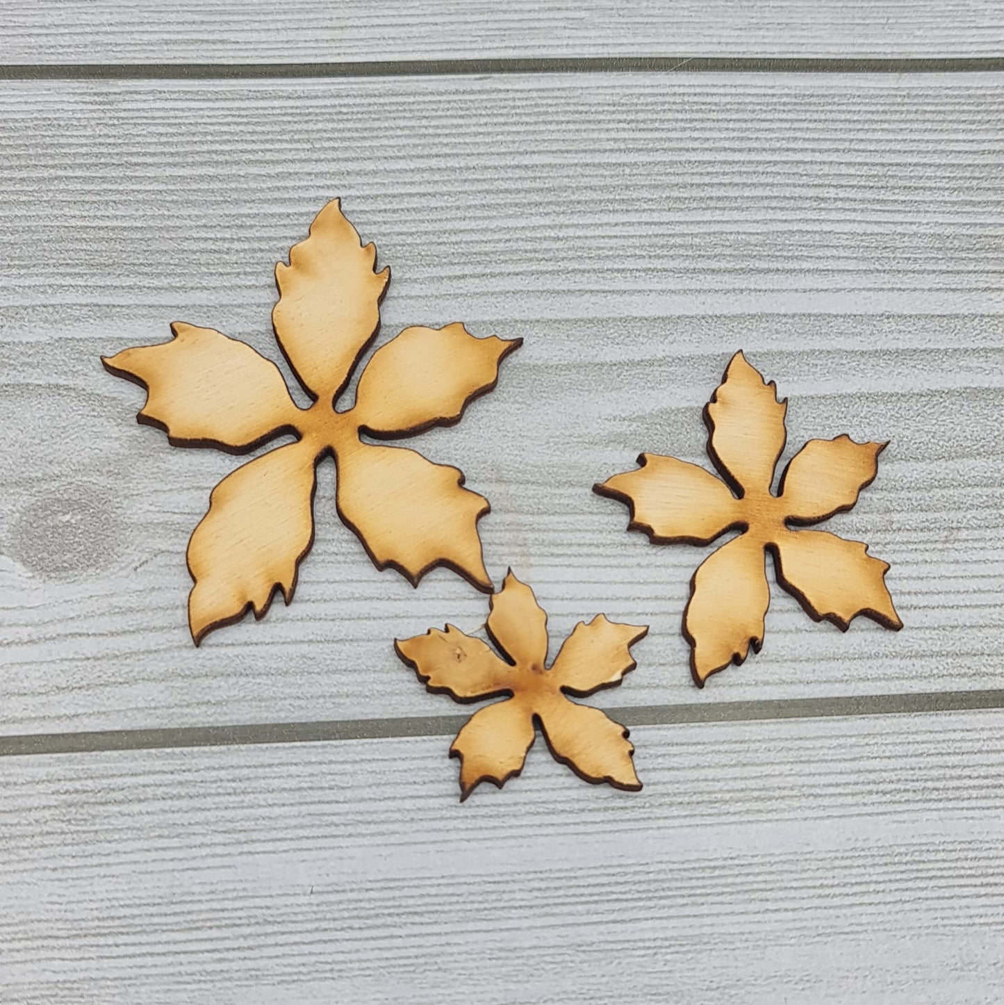 Set Stella di Natale Sagomiamo