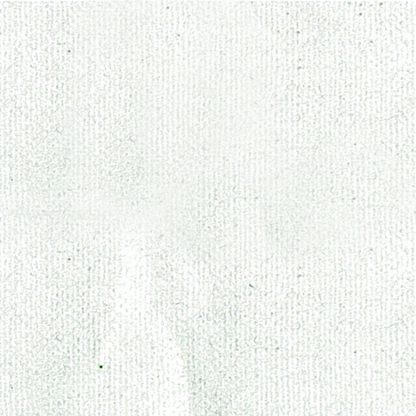 Setacolor Moirè Perla