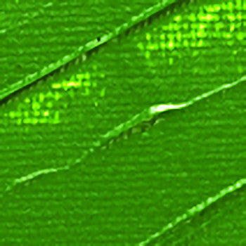 Studio Acrylics Terra Verde Pebeo