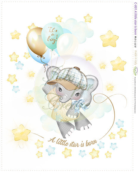 Copertina A Little Star is Born Idee Per Creare