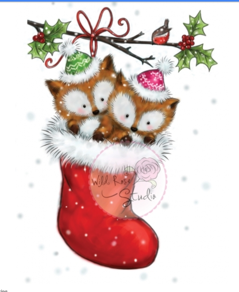 Renards en bas Cl 499