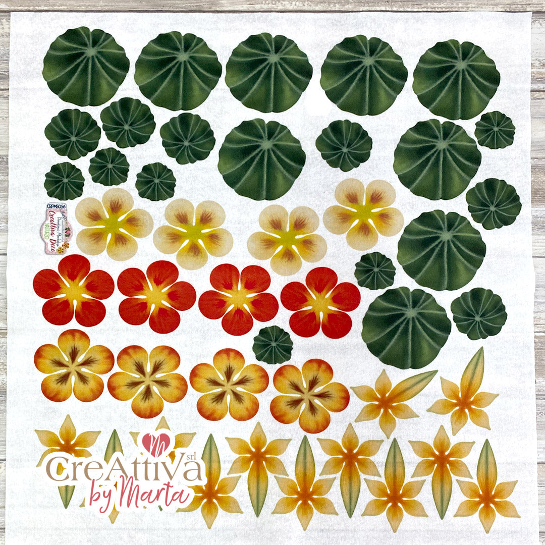 Capucine molle Pannolenci