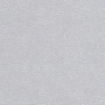 Dust Silver Cardstock