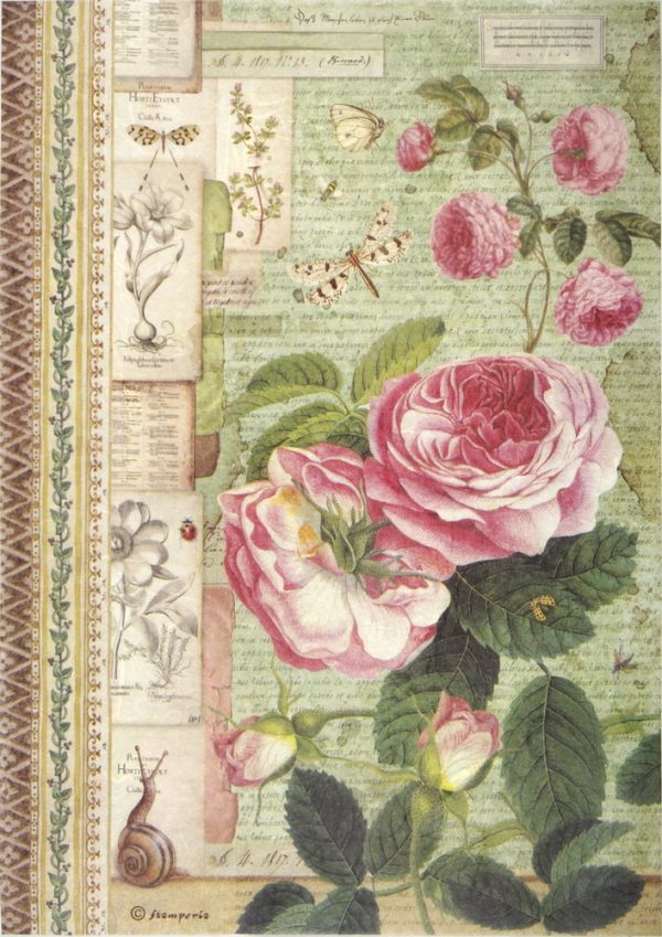 Papier de riz A4 Stamperia DFSA4359