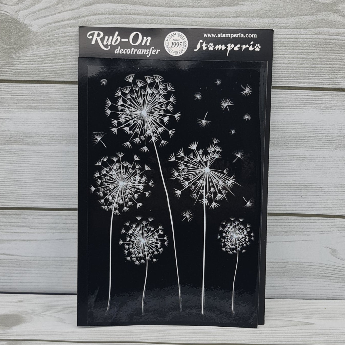 Pommes de douche à friction DFTD04