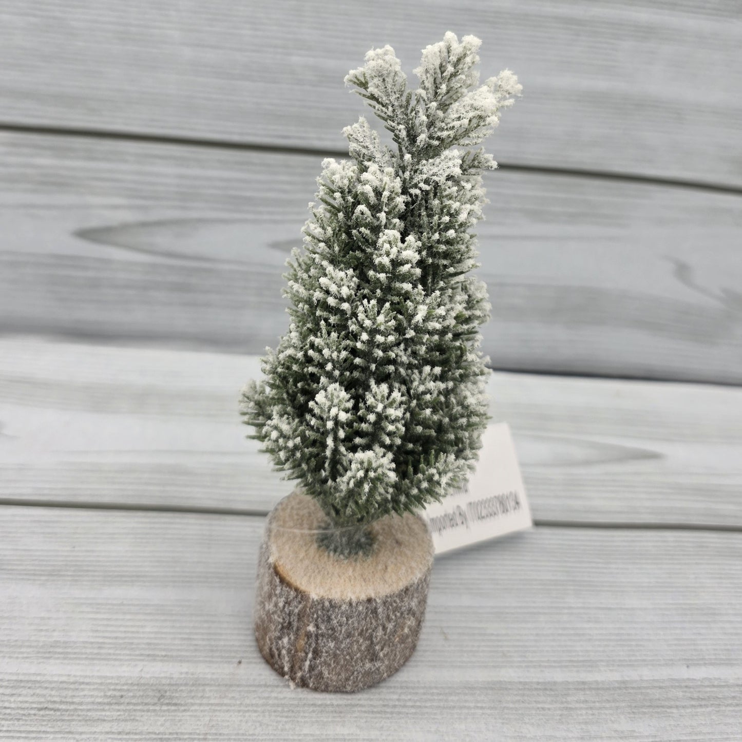 Pino Innevato 16 cm