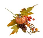 Ramo con Pigna e Zucca 30cm Renkalik