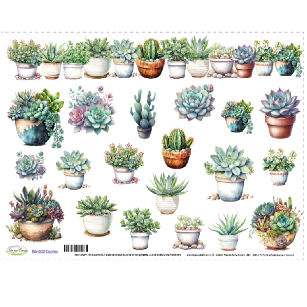Carta Riso A3 Idee Per Creare Cactus
