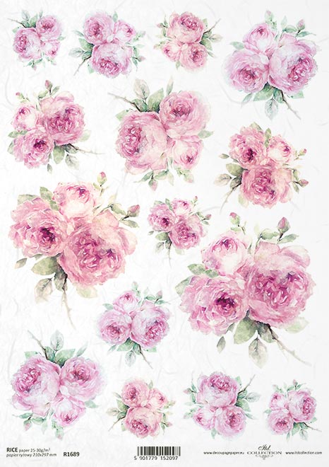 Carta Riso A4 Gogolandia cod. R1689