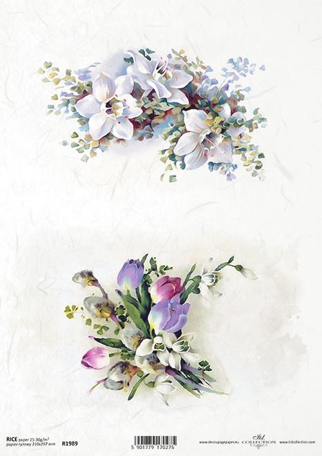 Carta Riso A4 Gogolandia cod. R1989