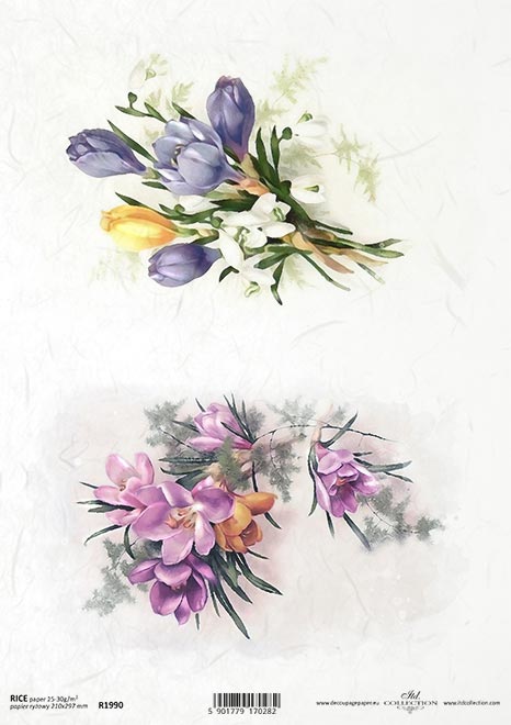 Carta Riso A4 Gogolandia cod. R1990