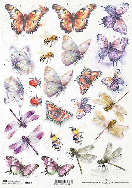 Carta Riso A4 Gogolandia cod. R2258