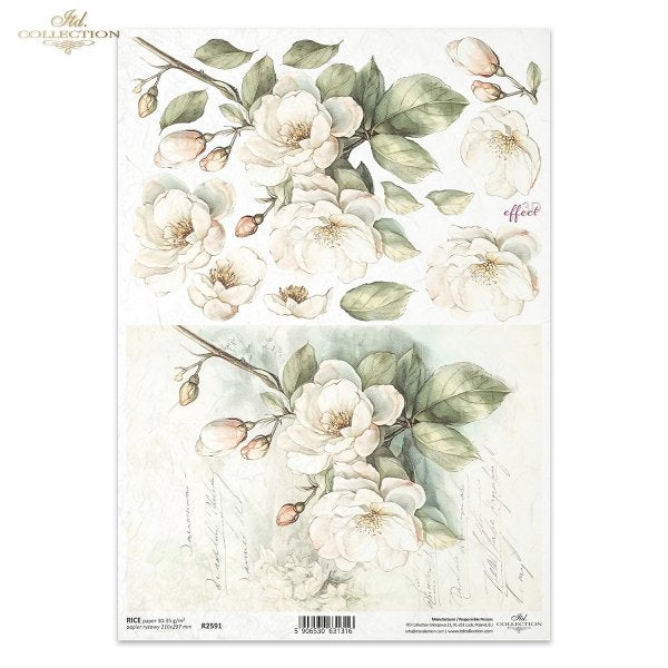 Carta Riso A4 Gogolandia cod. R2591