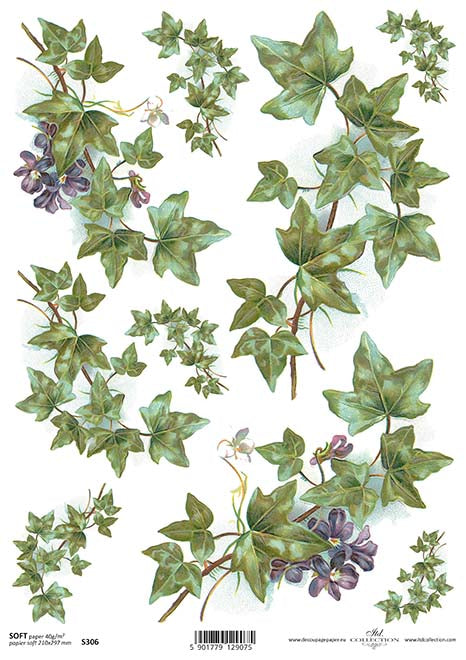 Carta Soft A4 Gogolandia cod. SO306