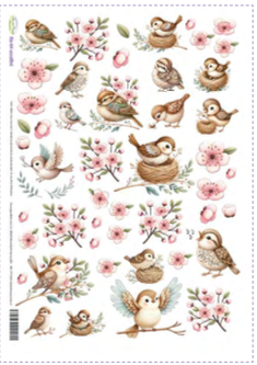 Carta Riso A3 Idee Per Creare Uccellini