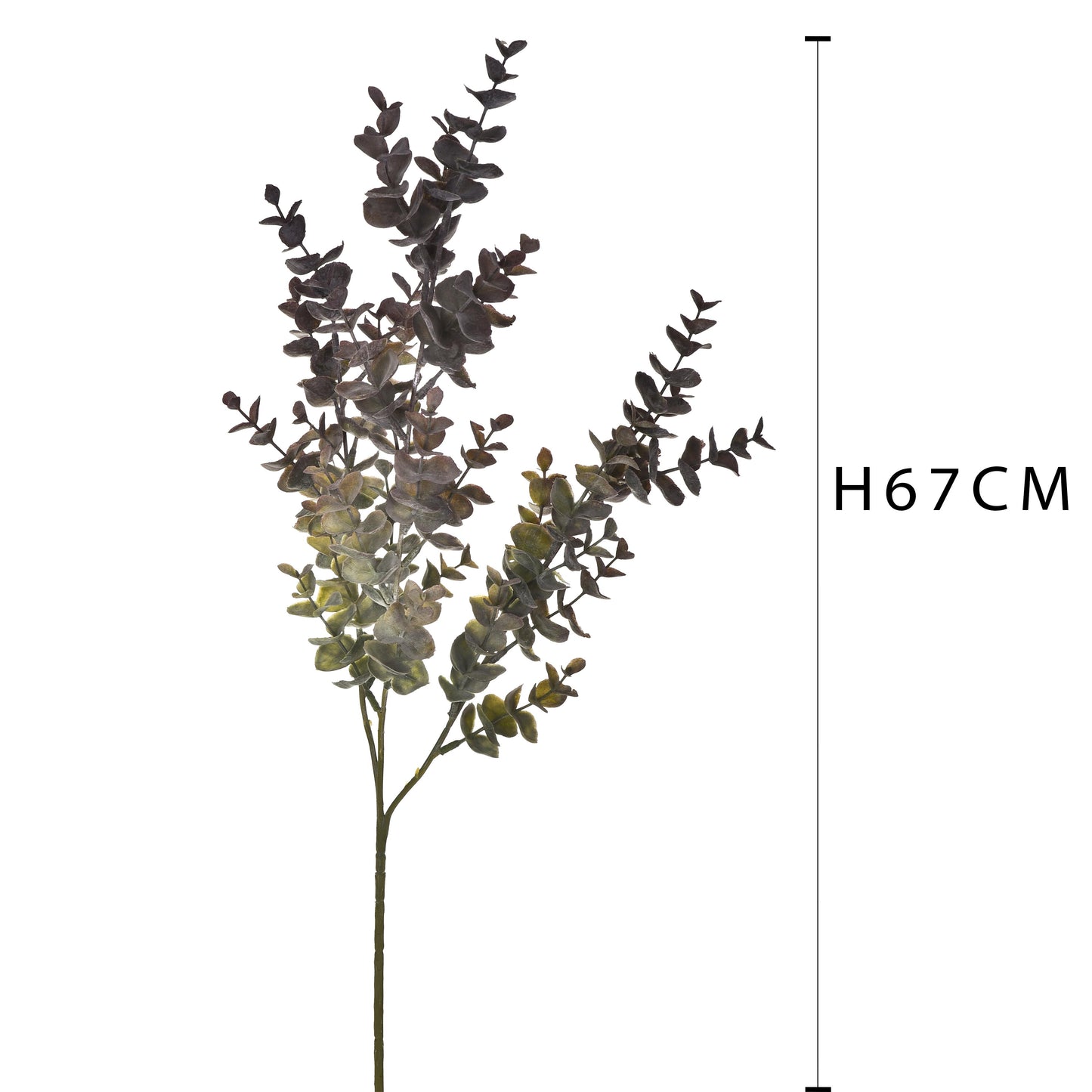 Eucalipto Verde-Bruciato 67cm