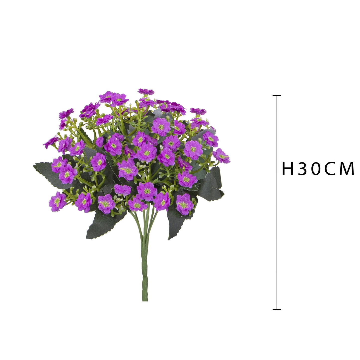 Mini Calancoe Beauty 30cm