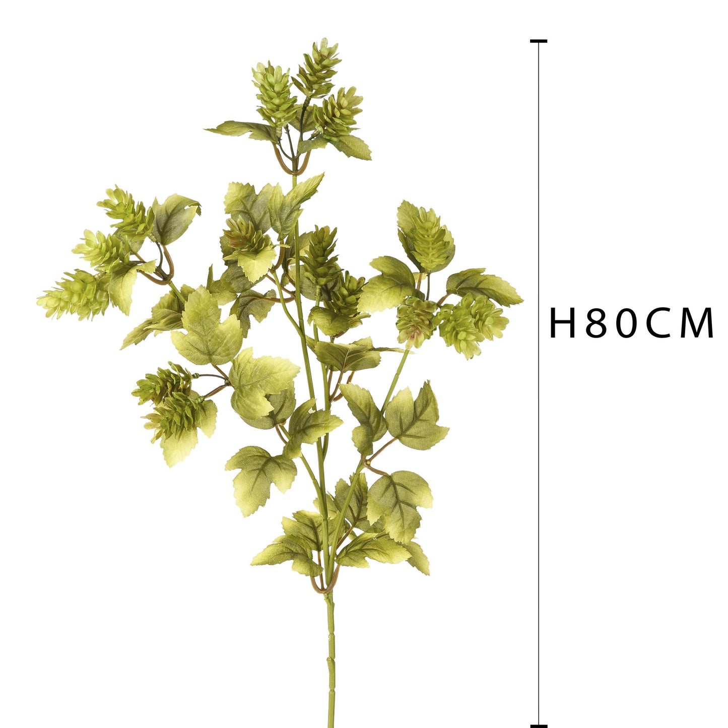 Hops W/flowers 80cm