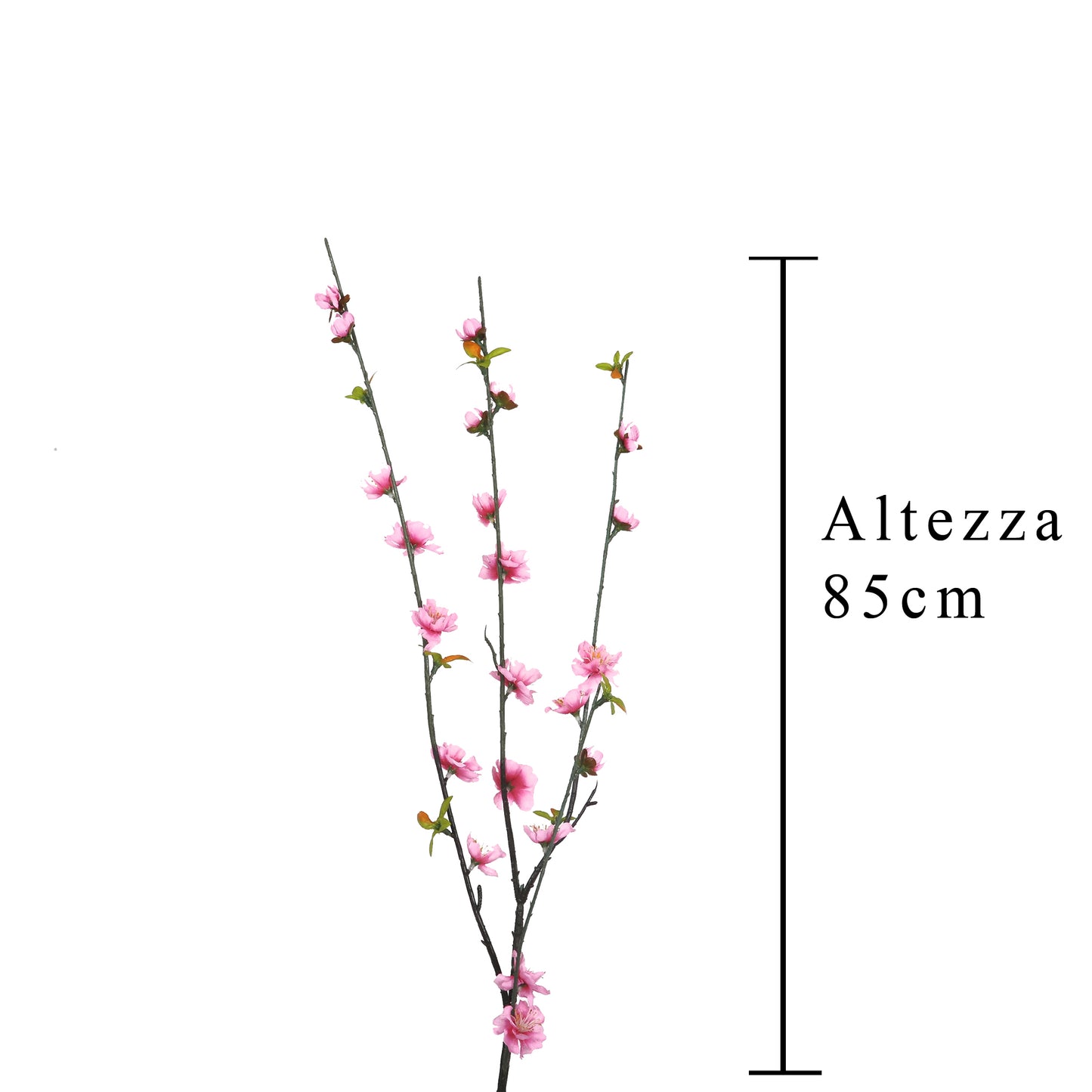Ramo Pesco 85cm