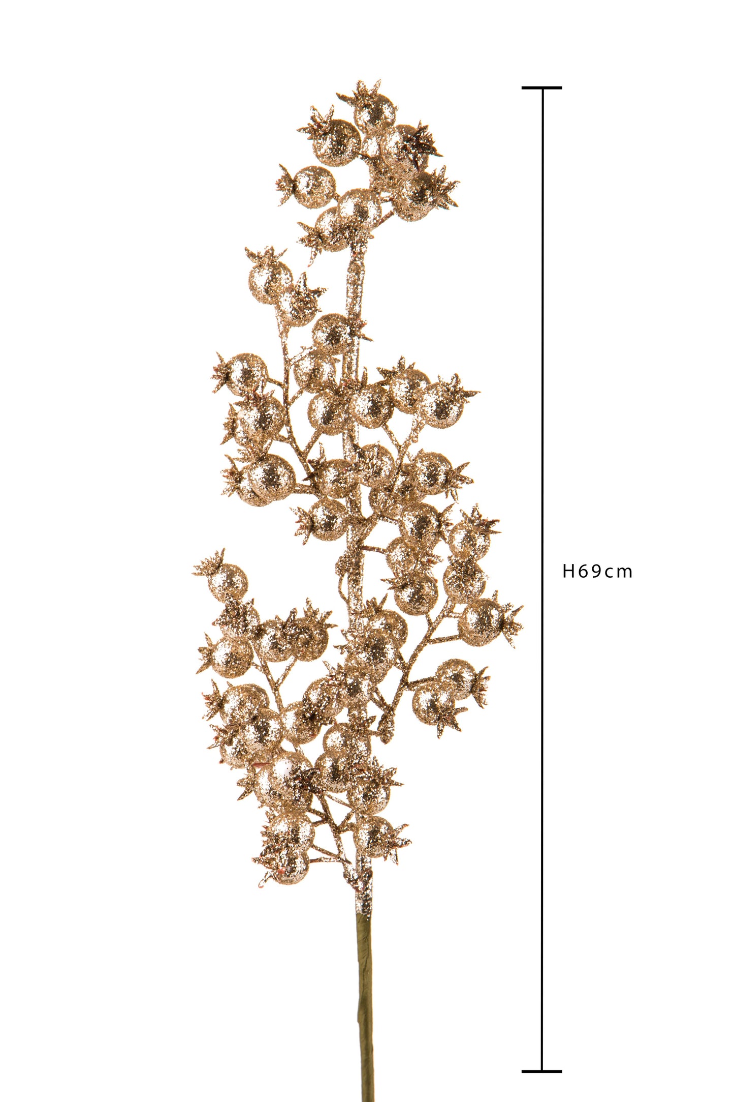 Agrifoglio Con Glitter Champagne 69cm