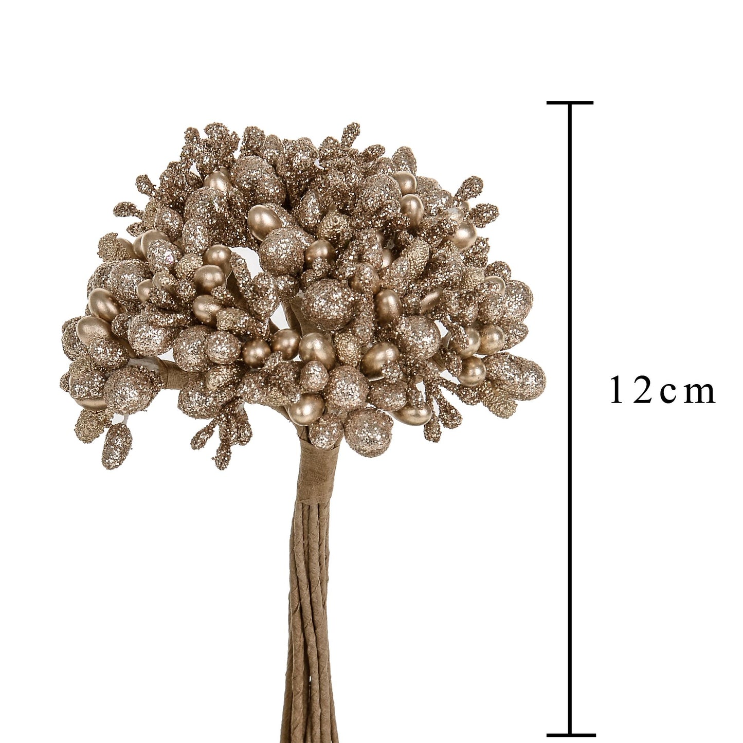 Pick Champagne Berries XK037C