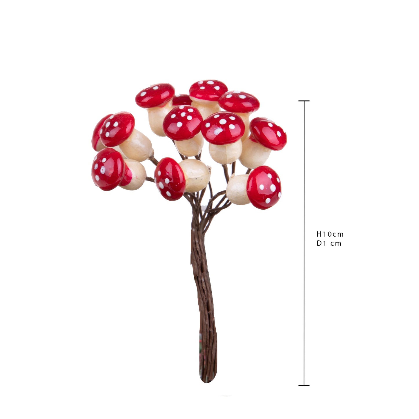 Botte de champignons 12pcs Stafil Cod. 500-57