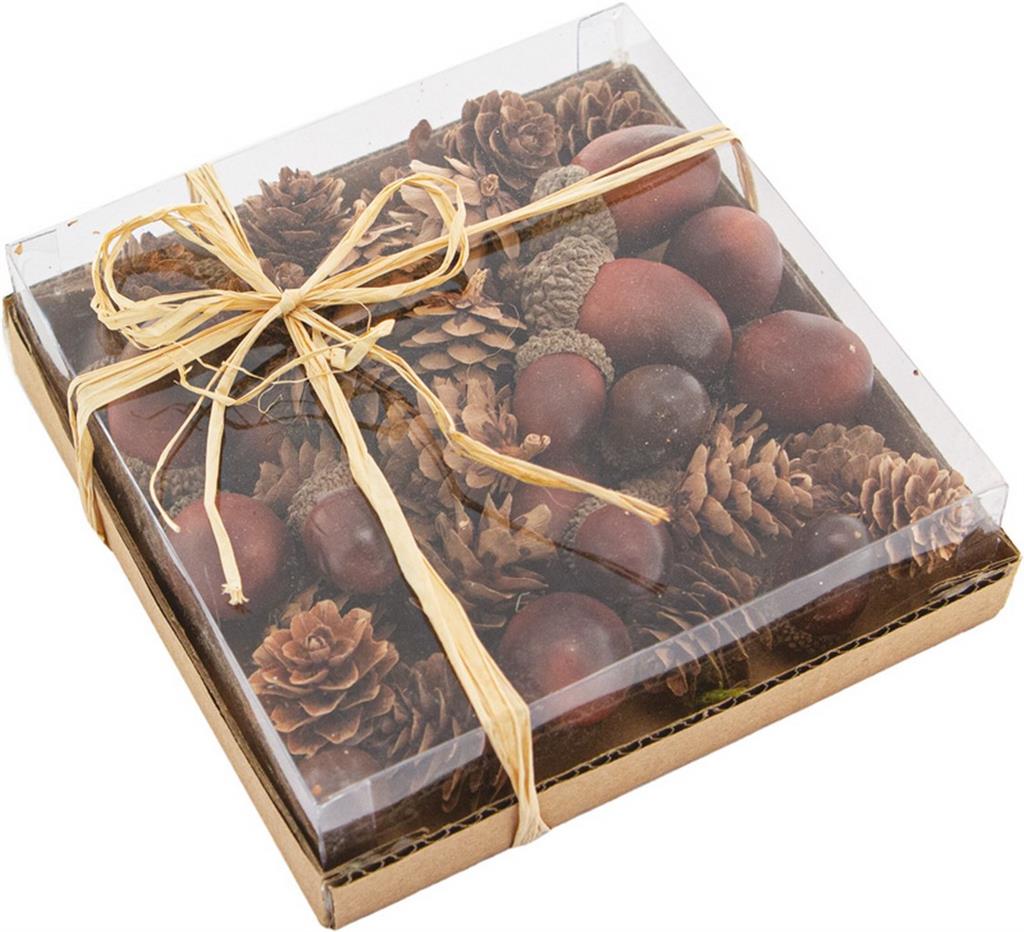 Larch pine cones + acorns Stafil Cod. 5981-41