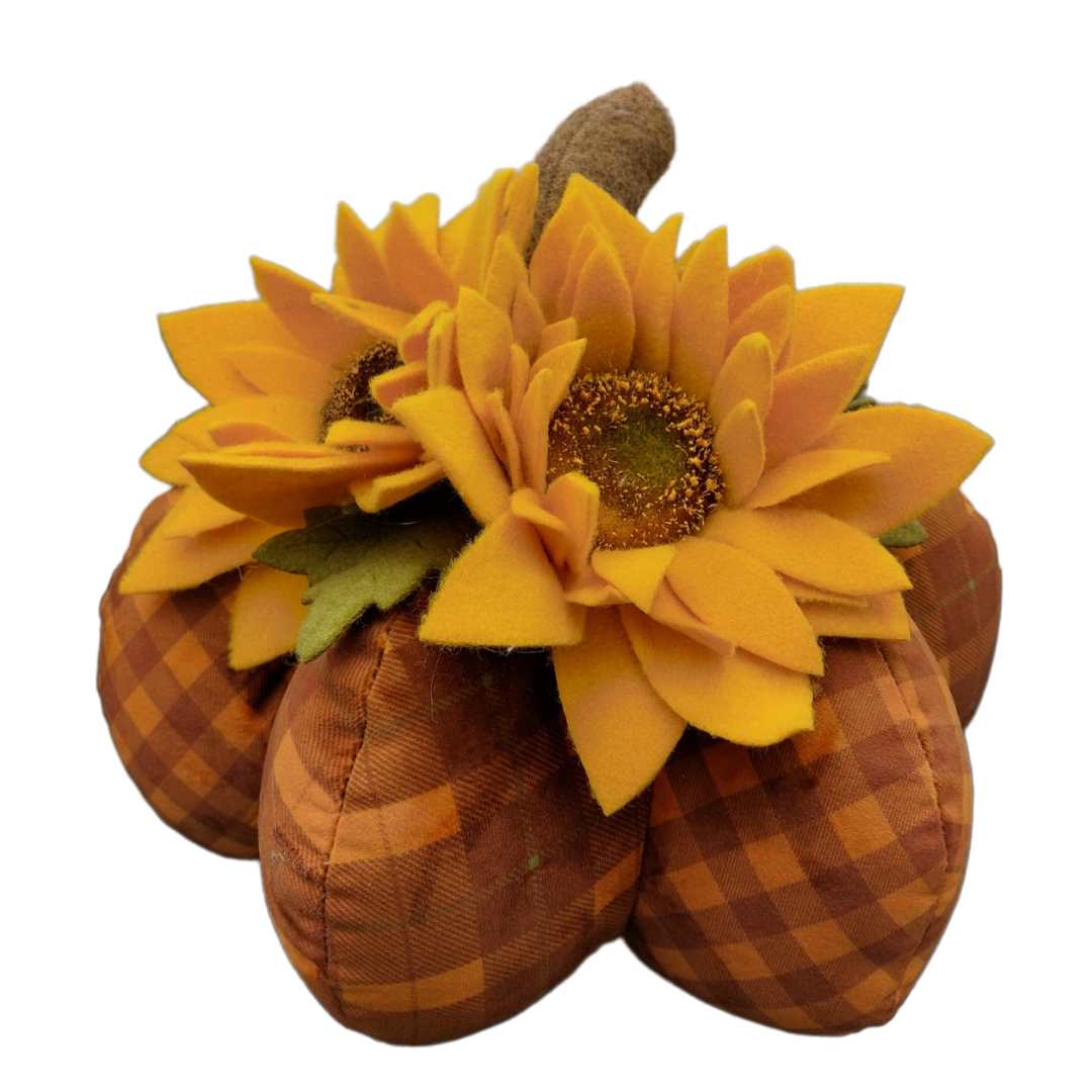 Kit Zucca Girasoli