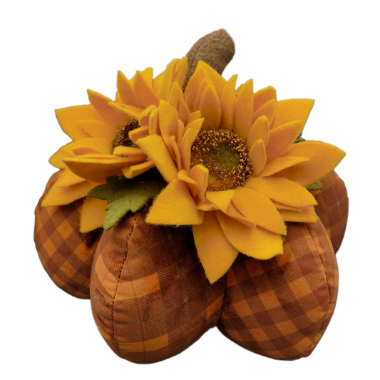 Sunflower Pumpkin Kit