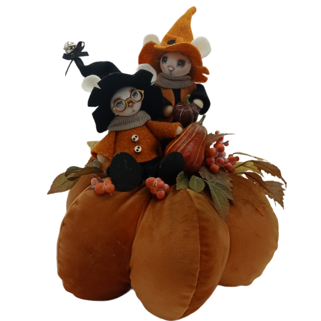 Kit Bianca and Bernie on Pumpkin