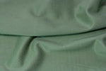 TVEFS Sage Green Velvet Fabric