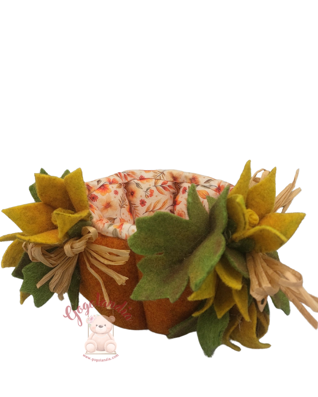 Kit Zucca di Cornelio